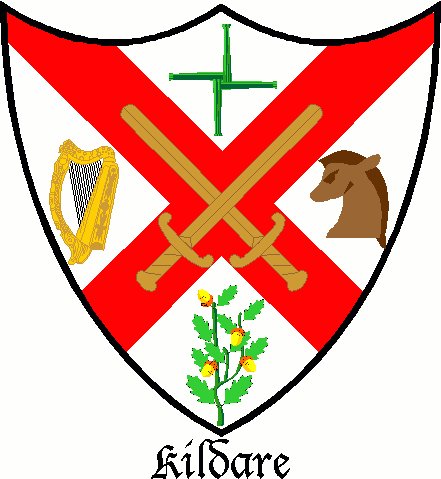 The Coat of Arms for County Kildare.