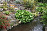 Landscaped garden with stream running through.