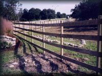 Fencing,Contractor,Contractors,Post Posts,Rails Rail,Company,Congleton,Cheshire,Stock Sheep,Poultry,Netting,Domestic,Agricultural,Equestrian,Commercial,Barbed Wire,Wooden,Concrete,Plastic,Tractor,Post,Knocker,Driver,Deer,Electric,Panel,Panels,Wicket,Palisade,Gate Gates,Half Round,Square,Gravel,Boards,Baseboards,Bargeboards,Wilmslow,Macclesfield,Alderley Edge,Knutsford,Holmes Chapel,Crewe,Sandbach,Biddulph,Leek,Derbyshire,Staffordshire,Shropshire