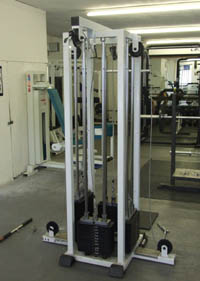 Plate loaded, or fixed weight 4 station machine designed to exercice different muscles.