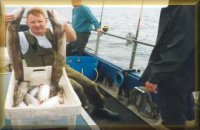 Fishing,Sea Angling,Wreck,Shark,North West,Donegal,Ireland,Northwest,Fishermen,Boat Boats,Trawler,Trawlers,Boat Hire,Charter,Boating,Reef Fishing,Pollack,Ling,Gurnard,Dogfish,Blue Shark,Turbot,Plaice,Conger Eel,Chartering,Downings,Cress Lough,Sheephaven Bay,Dunfanaghy,Rosguill,Mulroy Bay,Arranmore ,Island,Coalfish,Bottom Fishing,Portrush,Eire,Irish,Fishing,Trips,Summer Rose,Sammie Scott,Letterkenny,Fermanagh,Leitrim,Londonderry,Derry,Accommodation