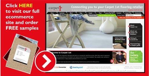 Carpet 1st main website