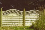 Straight panel garden fence with wooden posts, topped with arched diamond trellis.