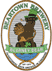 Blarney Bear