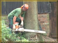 Tree Surgeons,Surgeon,Surgery,Trees Care,Specialists,Gardening,Dry Stone,Walling,Garden Gates,Maintenence,Fencing,Flagging,Power Winching,Pressure Washing,Stump Grinding,Commercial,Turf Laying,Chipping,Chainsaw,Repair,Hedge Planting,Cutting Services,Trimming,Post Rail,Fallen Log,Free Estimates,Stump Removal,Mowing,Strimming,Machinery,Stoke-on-Trent,Biddulph,Countryside,Management,Buxton,Domestic,Stockport,Crewe,Sandbach,Holmes Chapel,Middlewich,Winsford,Congleton,Cheshire,Staffordshire,Leek,Alsager,Macclesfield,Chopping Logs,Shredding,Agricultural,Equestrian,Prestbury,Wilmslow