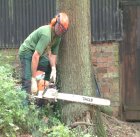 Tree felling in awkward situations, and Tree Surgery.