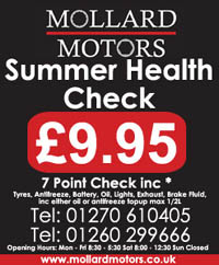 Summer health check graphic showing special offer price for for 7 point check.