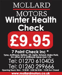 Winter health check graphic showing special offer price for 7 point check.
