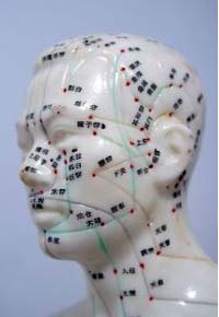 Head showing acupuncture pressure points.