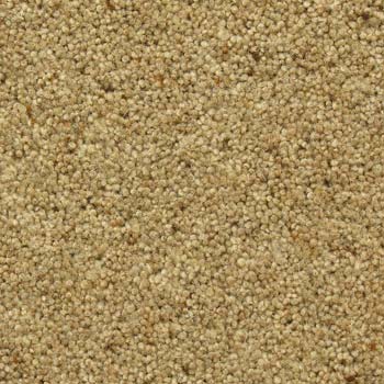 80% Wool 20% manmade plain carpet from Wilton Carpets.