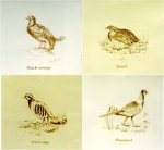 Designer game birds tiles from The Winchester Tile Company showing black grouse, quail, partridge and pheasant.