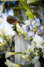 Wedding Flowers