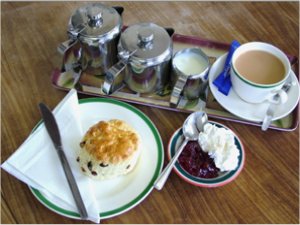 Cream tea with scone, jam and cream.