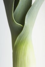 Leek - fresh produce sourced locally.