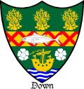 Click for larger image. Down Northern Ireland coat of arms 