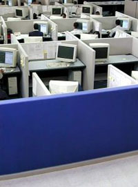 This image shows an office space divided into cubicles, all with PC's which can be networked by Dove IT Support.