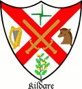 Click for larger image. Kildare Ireland Irish Republic coat of arms 