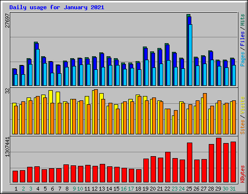 Daily usage for January 2021