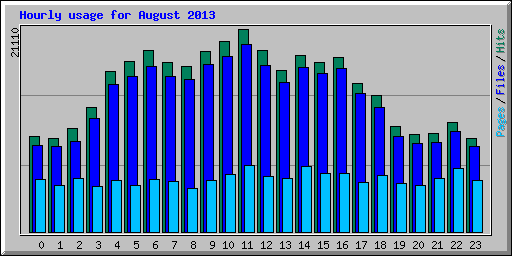 Hourly usage for August 2013