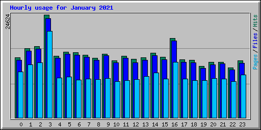 Hourly usage for January 2021