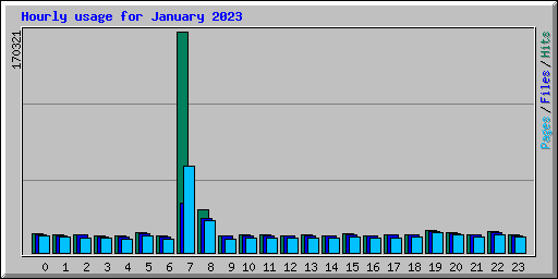 Hourly usage for January 2023