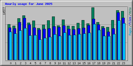 Hourly usage for June 2025