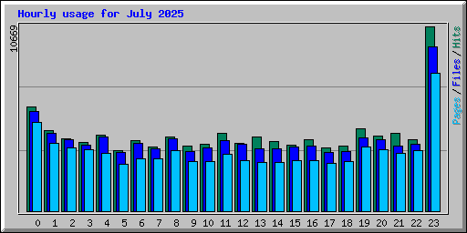 Hourly usage for July 2025
