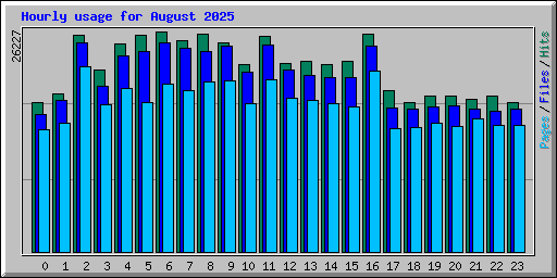 Hourly usage for August 2025