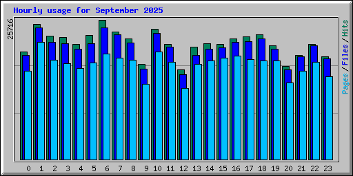 Hourly usage for September 2025