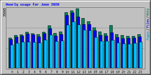 Hourly usage for June 2026