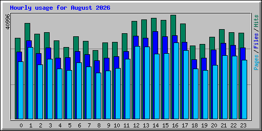 Hourly usage for August 2026