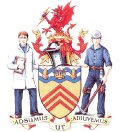 Click for larger image. Rhondda Cynon Taff Wales coat of arms 